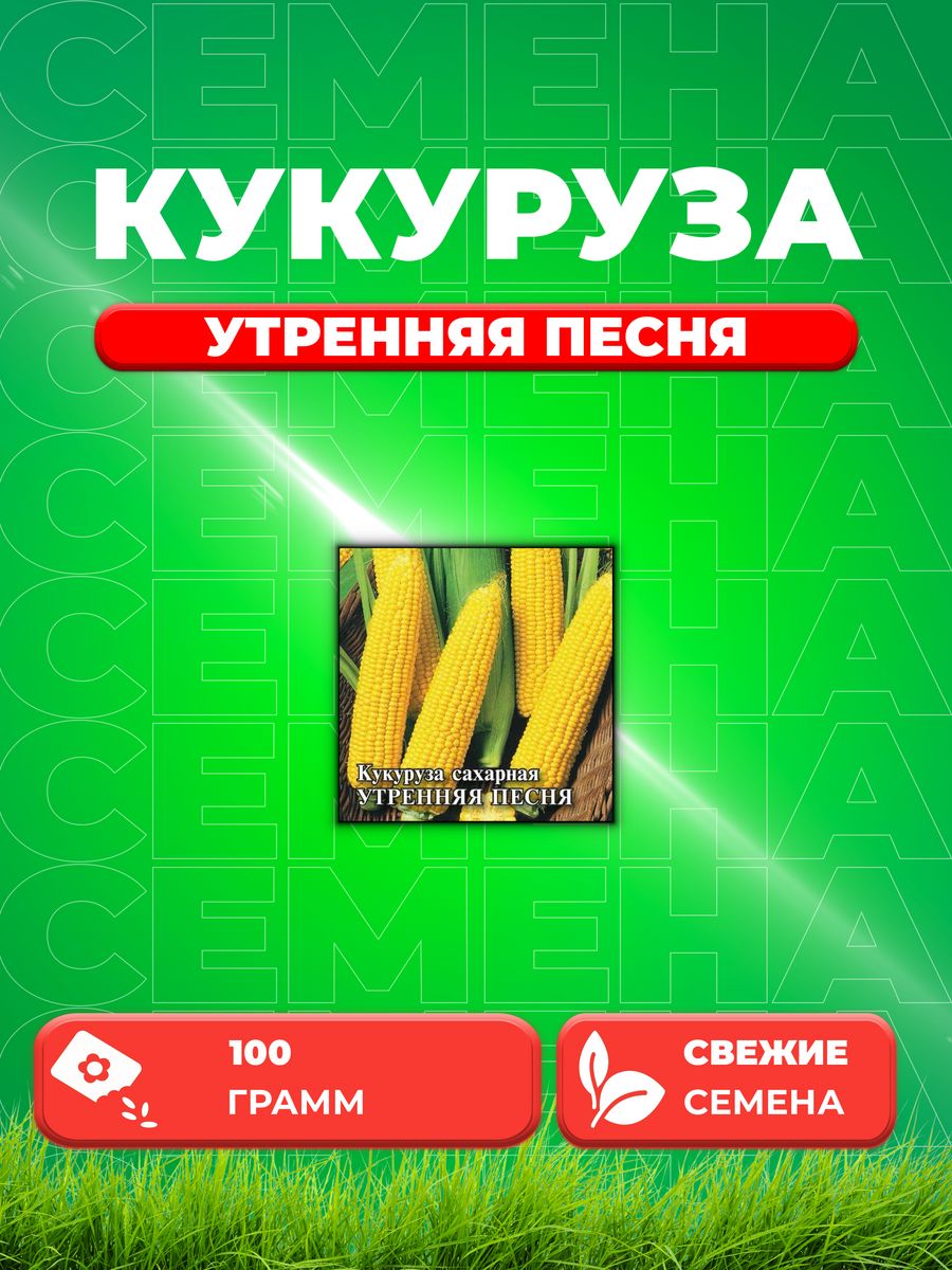 

Семена Кукуруза Утренняя песня F1 100 г