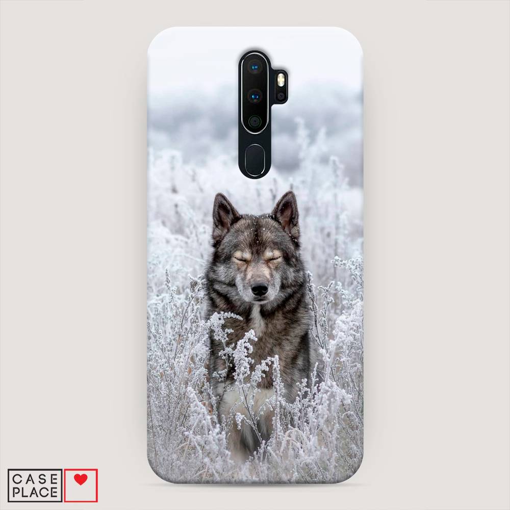 

Пластиковый чехол "Волк в поле" на Oppo A5 (2020), 251320-1