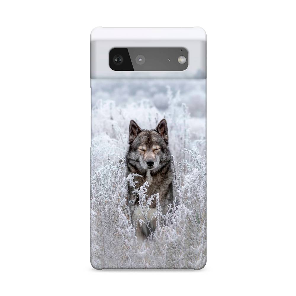 

Пластиковый чехол "Волк в поле" на Google Pixel 6, 270820-1