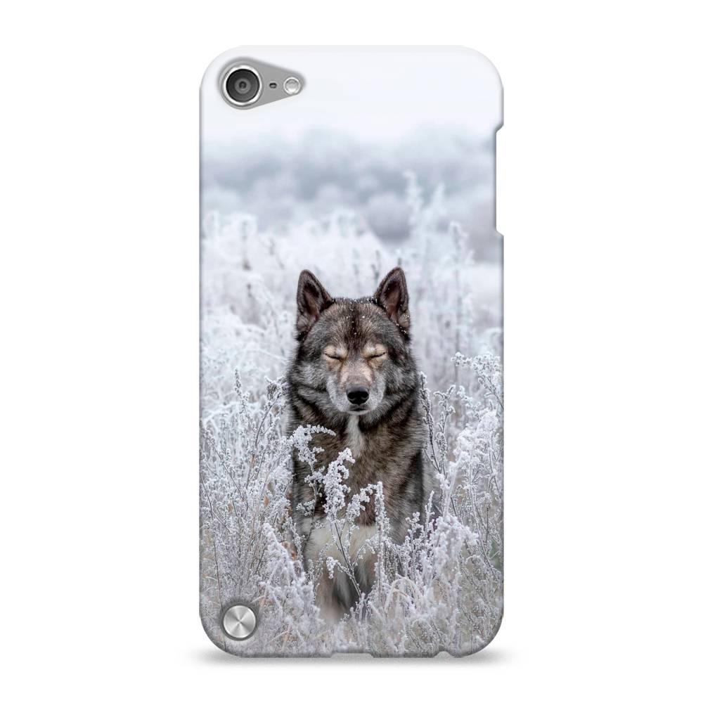

Пластиковый чехол "Волк в поле" на Apple iPod Touch, 11120-1