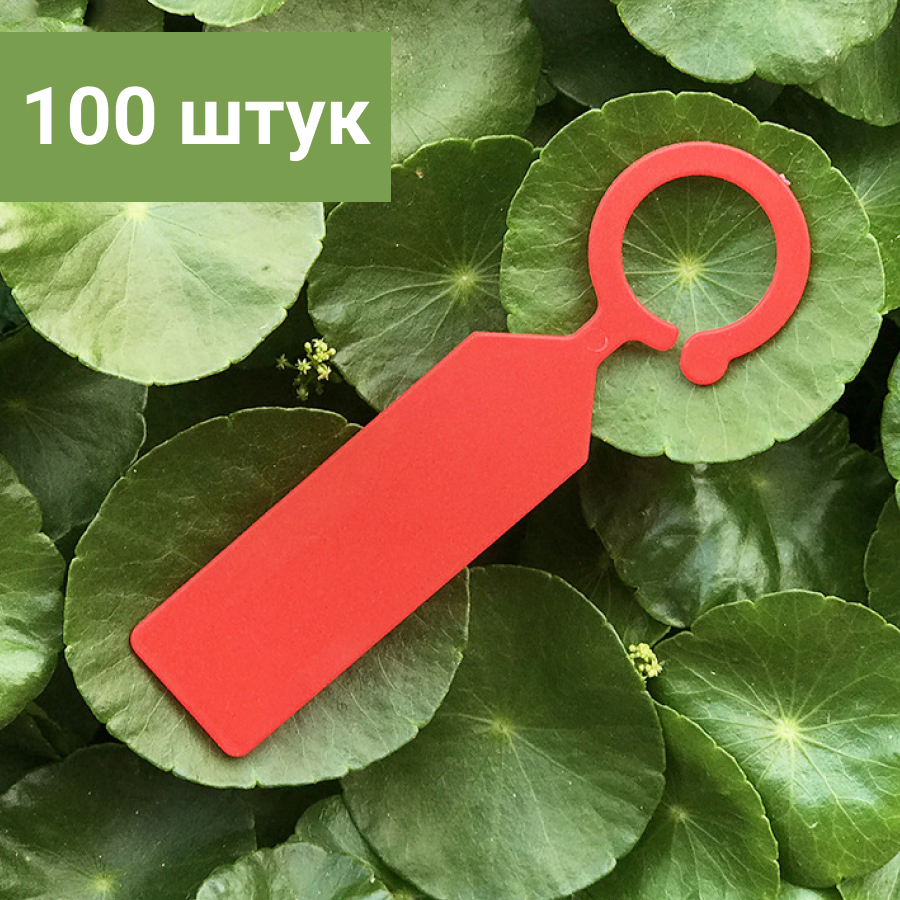 Таблички для рассады NoBrand Бир100крас красный 100 шт