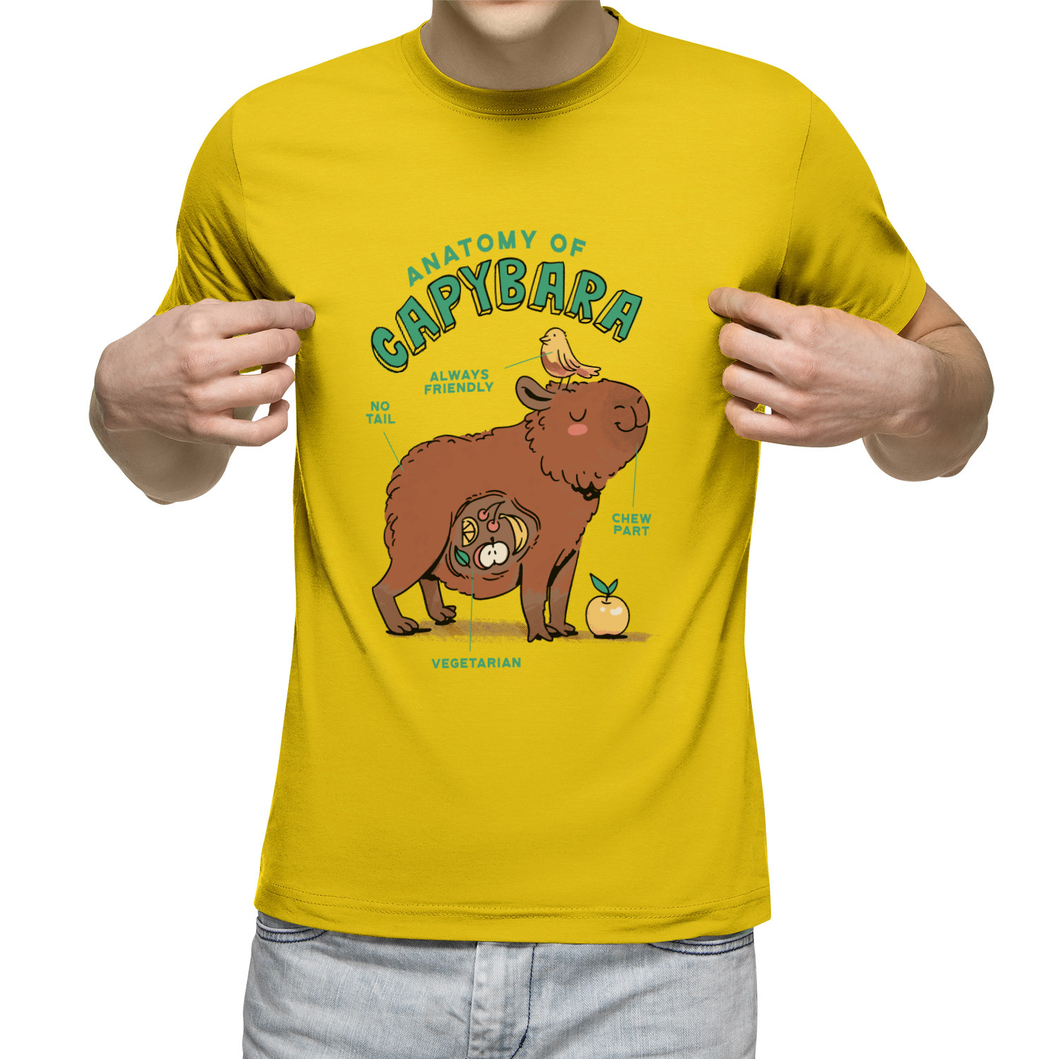 

Футболка мужская Анатомия Капибары - Anatomy Capybara желтая L, Желтый, Анатомия Капибары - Anatomy Capybara