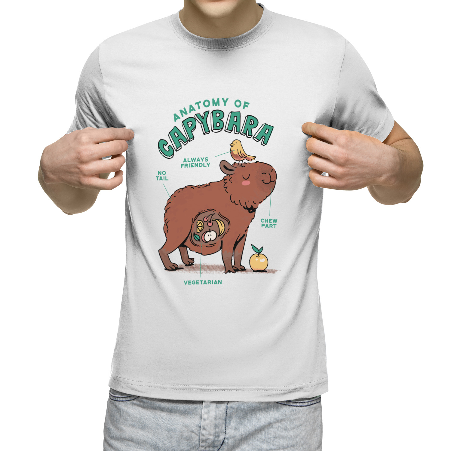 

Футболка мужская Анатомия Капибары - Anatomy Capybara белая 3XL, Белый, Анатомия Капибары - Anatomy Capybara