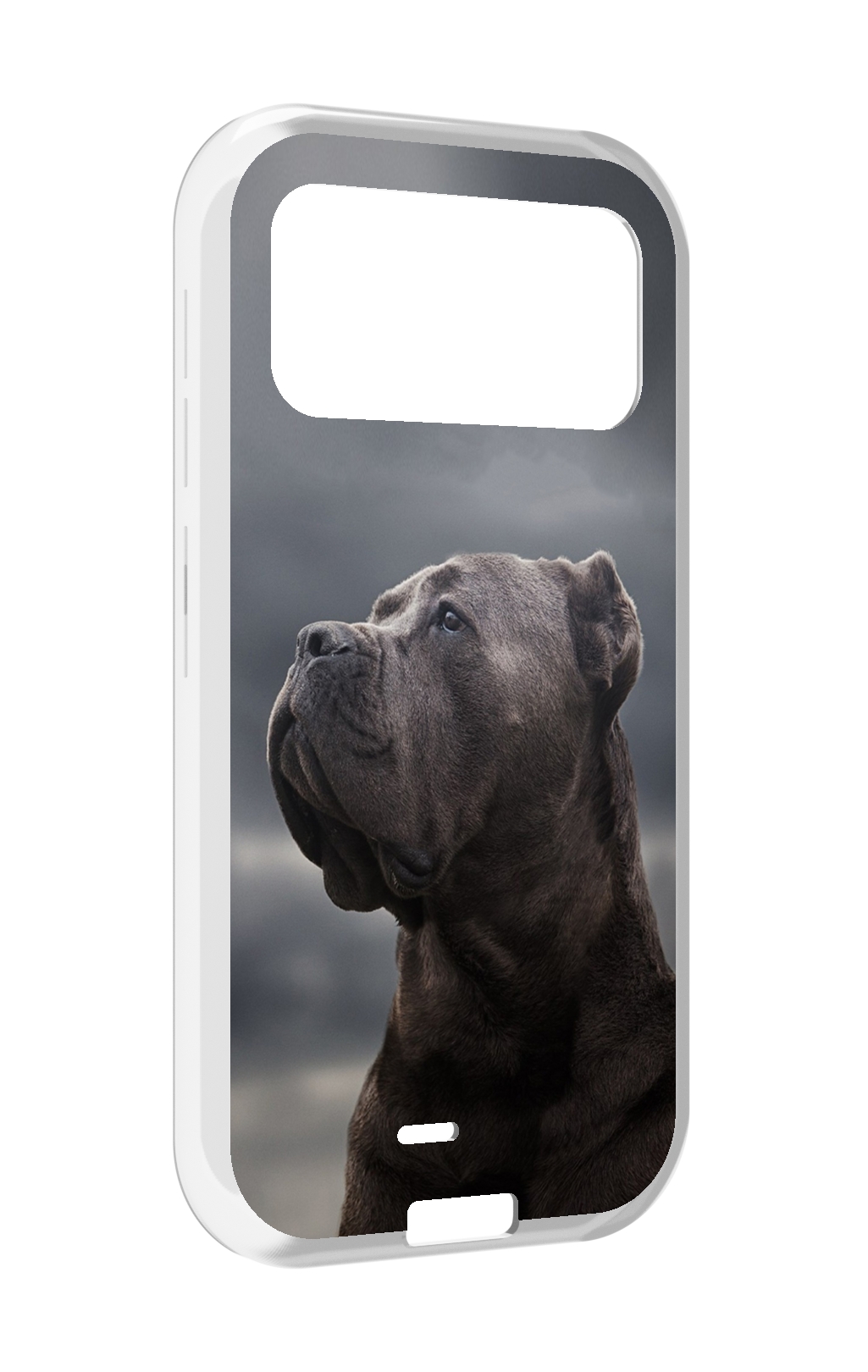 

Чехол MyPads кане корсо для Oukitel F150 H2022, Прозрачный, Tocco