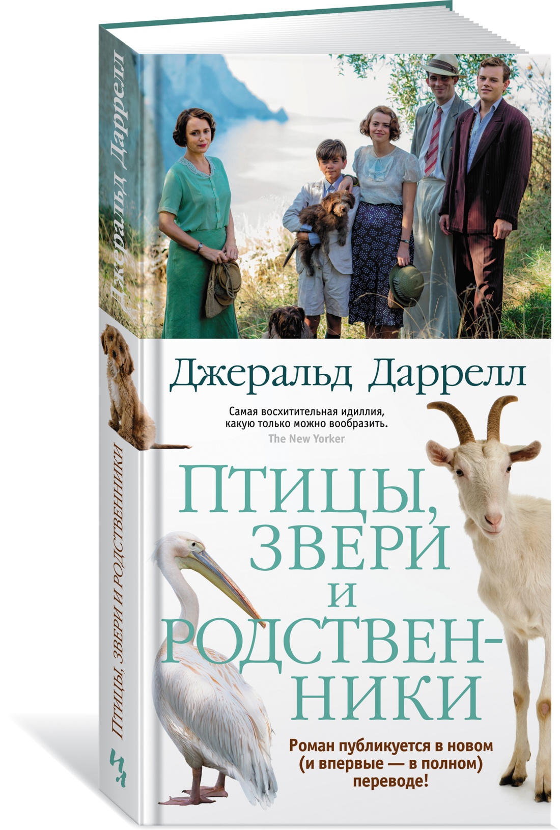 фото Книга птицы, звери и родственники азбука