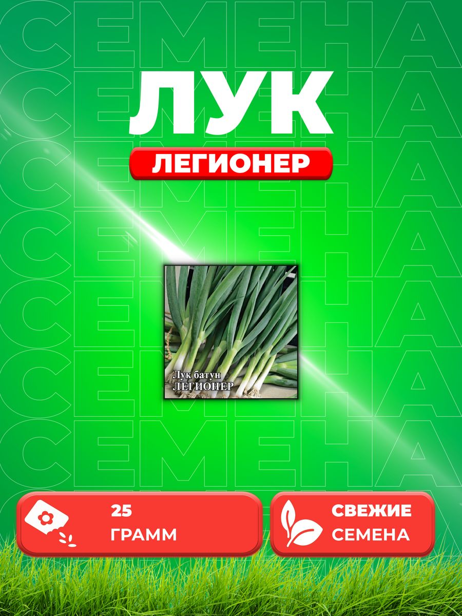 

Семена Лук батун Легионер 25,0 г