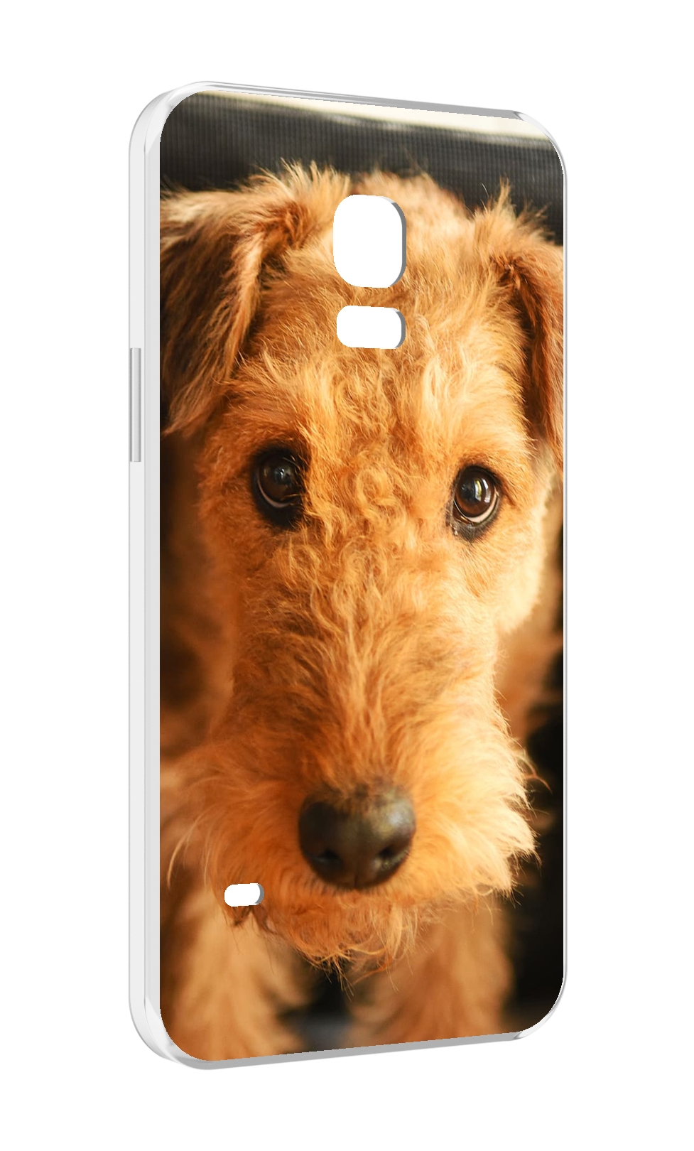 

Чехол MyPads эрдельтерьер для Samsung Galaxy S5 mini, Прозрачный, Tocco