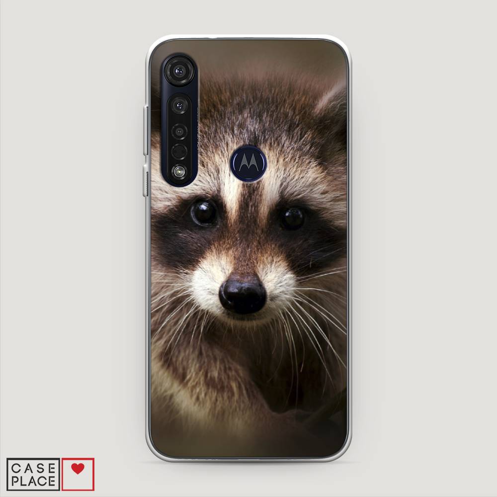

Чехол Awog на Motorola Moto G8 Plus "Енот", Разноцветный, 241450-1
