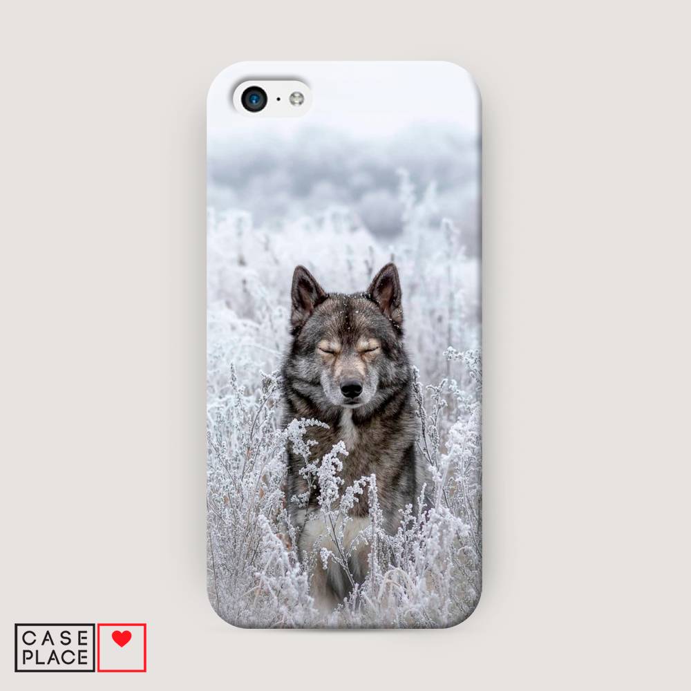 

Пластиковый чехол "Волк в поле" на Apple iPhone 5C, 10220-1