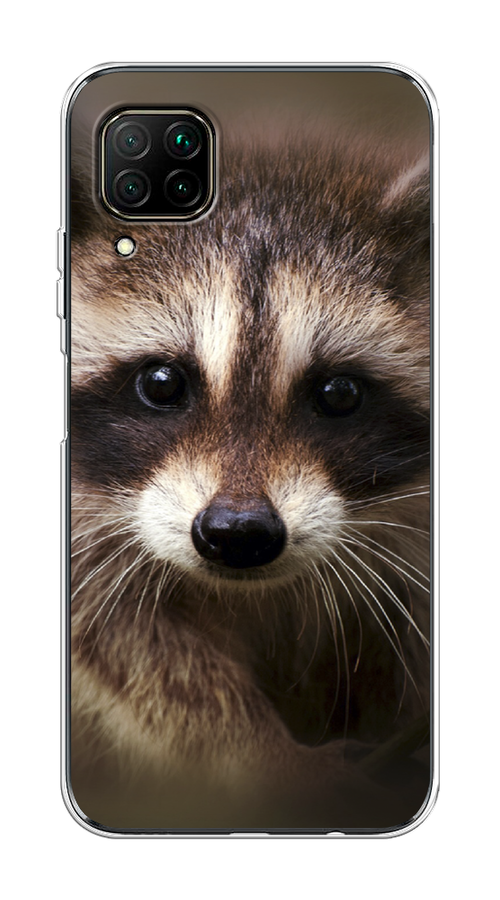 

Чехол Awog на Huawei Nova 6 SE "Енот", Коричневый, 611750-1