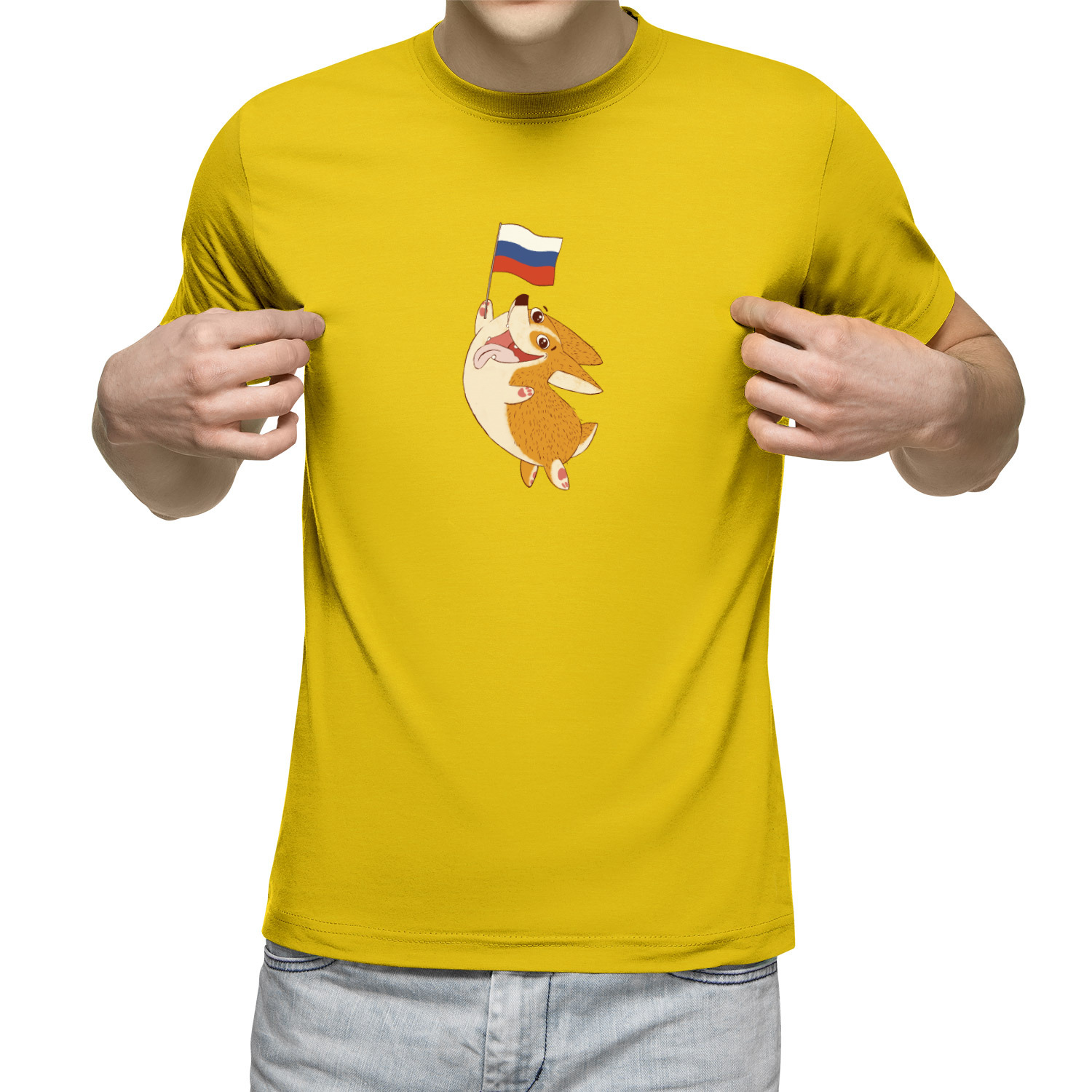 

Футболка мужская Корги с флагом России желтая 2XL, Желтый, Корги с флагом России