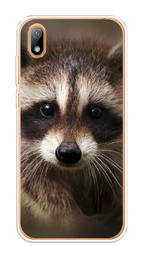

Чехол Awog на Honor 8S "Енот", Коричневый, 69150-1