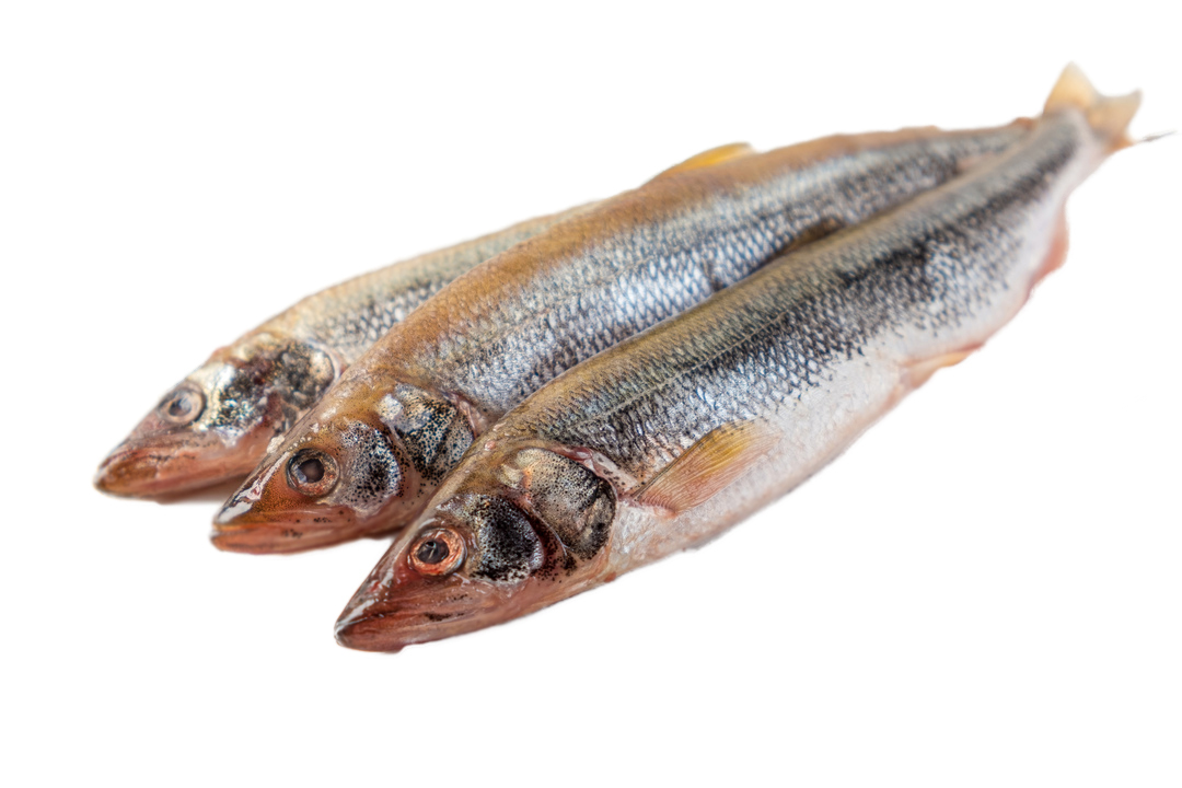 

Корюшка ВкусВилл азиатская замороженная неразделанная
