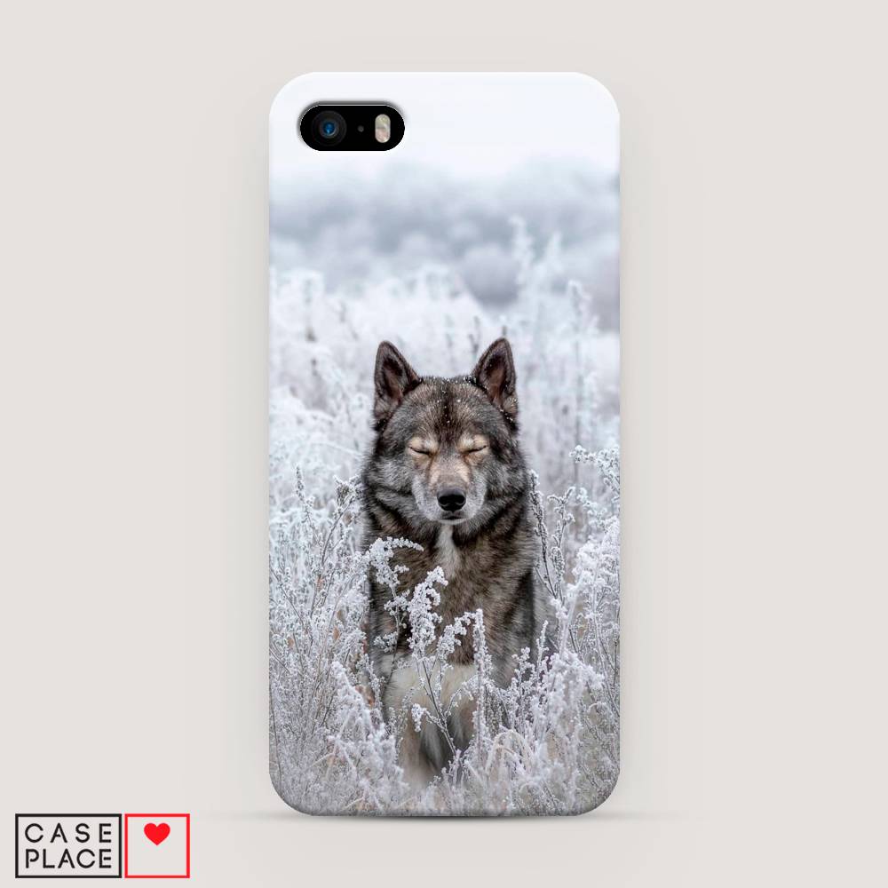 

Пластиковый чехол "Волк в поле" на Apple iPhone 5, 10320-1