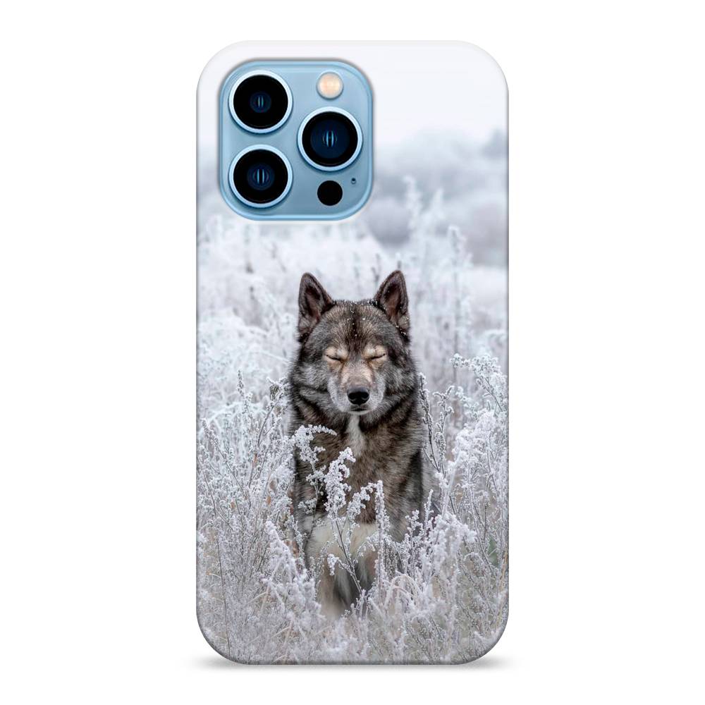 

Пластиковый чехол "Волк в поле" на Apple iPhone 13 Pro, 14320-1