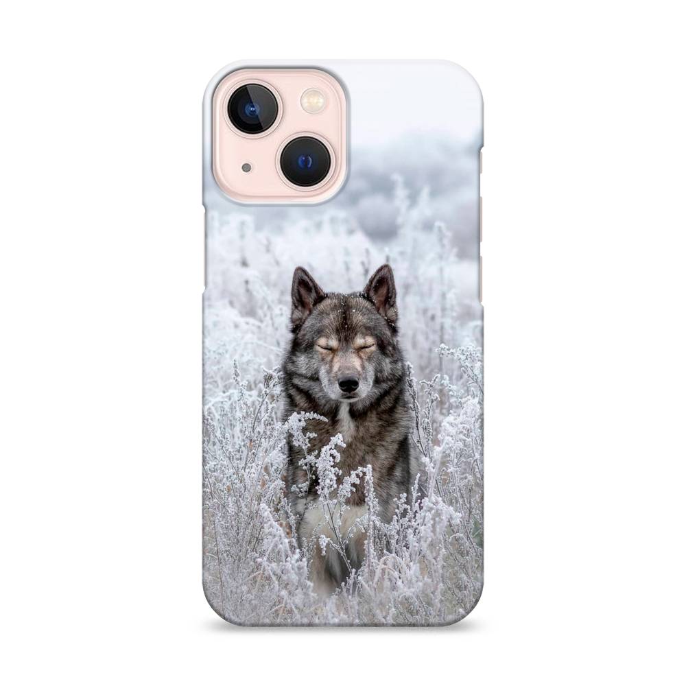 

Пластиковый чехол "Волк в поле" на Apple iPhone 13 mini, 14120-1