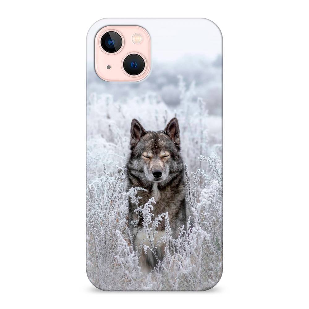 

Пластиковый чехол "Волк в поле" на Apple iPhone 13, 14220-1