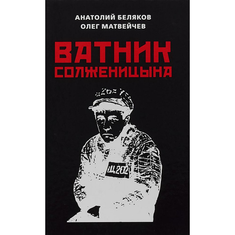 

Книга Ватник Солженицына. Матвейчев О. А., Беляков А. В.
