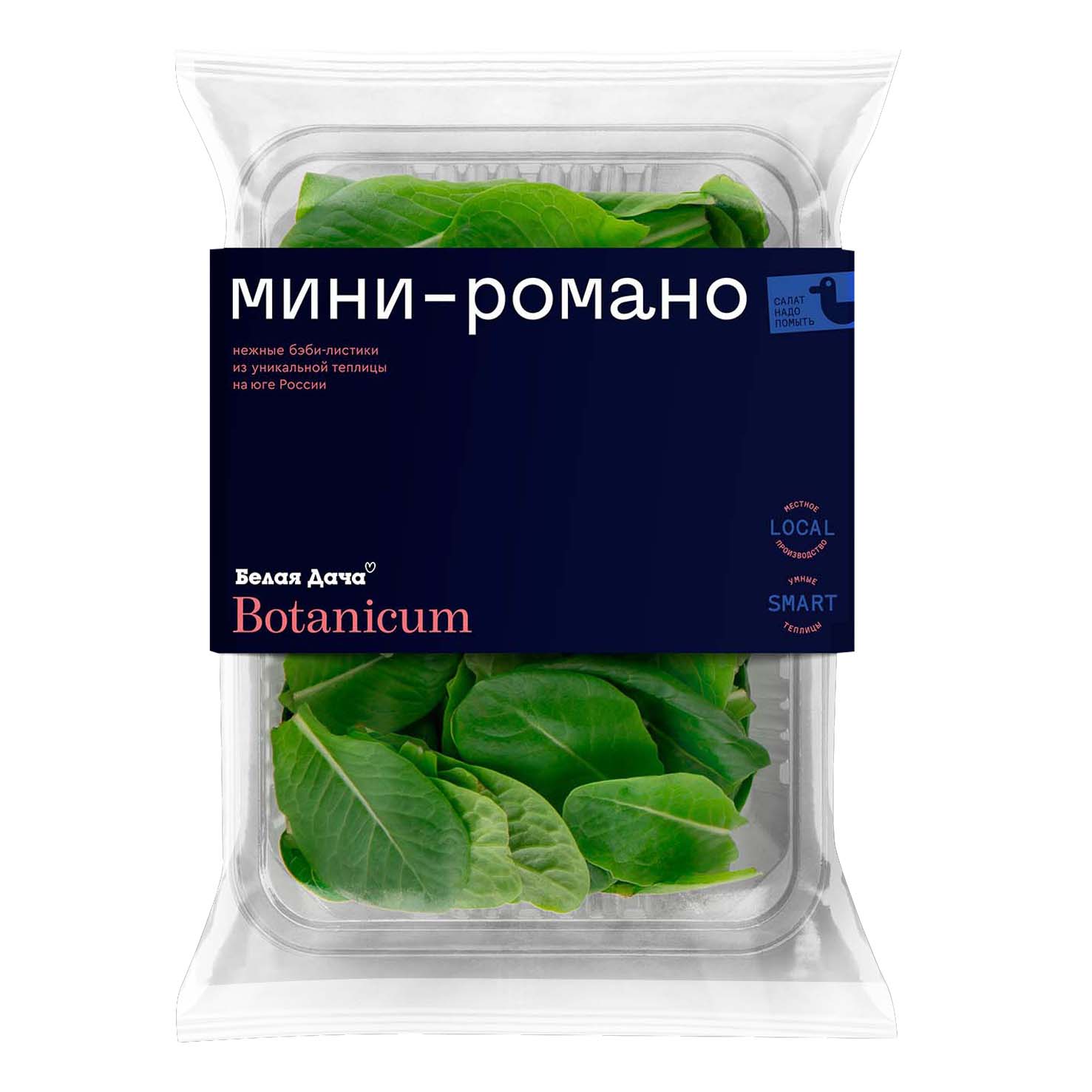 

Салат Белая Дача Романо Botanicum в контейнере 75 г