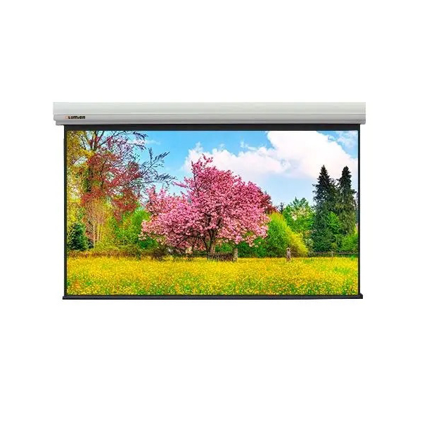 

Экран для проектора Lumien Master Large Control 470x620 см LMLC-100103A, Master Large Control 470x620 см LMLC-100103A