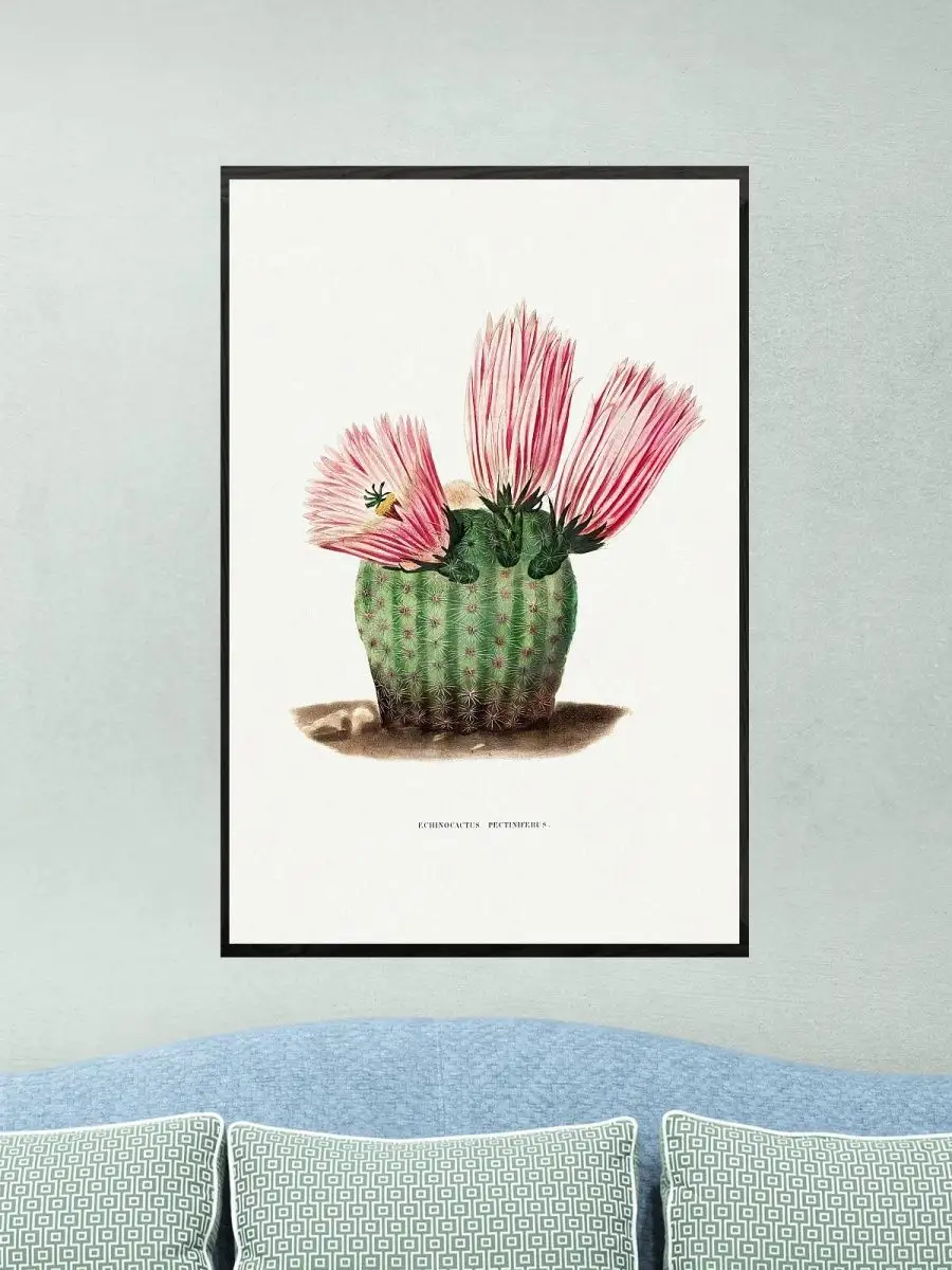 

Постер GoodKids, Кактус с розовыми цветками, 60x90 см, art03-rpms22