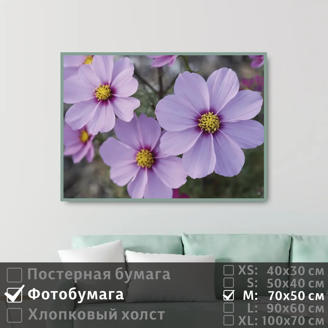 

Постер на фотобумаге ПолиЦентр Летние сиреневые цветы 70х50 см, ЛетниеСиреневыеЦветы