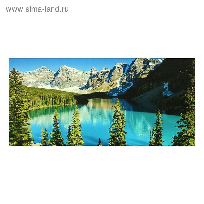 

Картина- холст на подрамникеАльпийская красота 33*70см