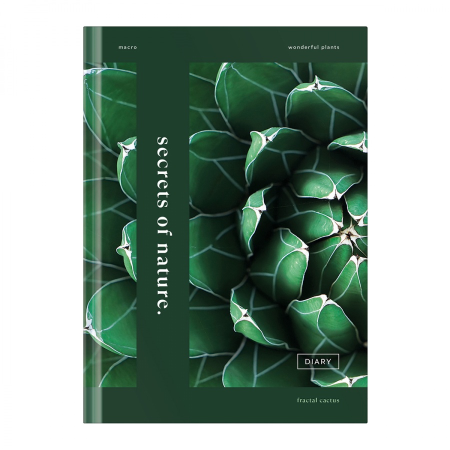 

Записная книжка А5 BG Secrets nature 64 листа матовая ламинация блок-еженедельник 12шт