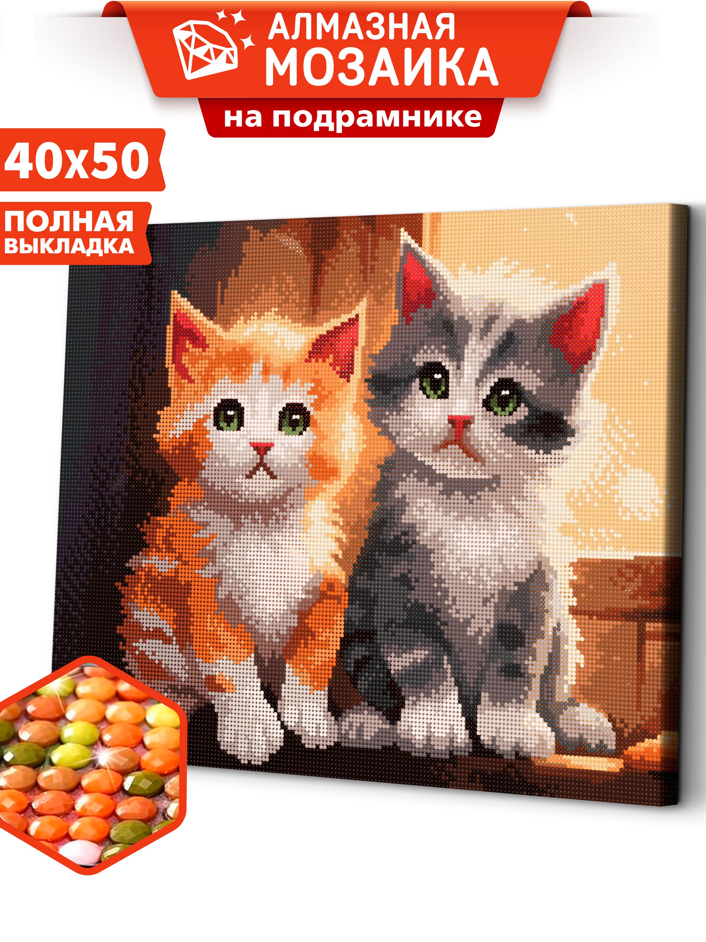 Kitten 40h