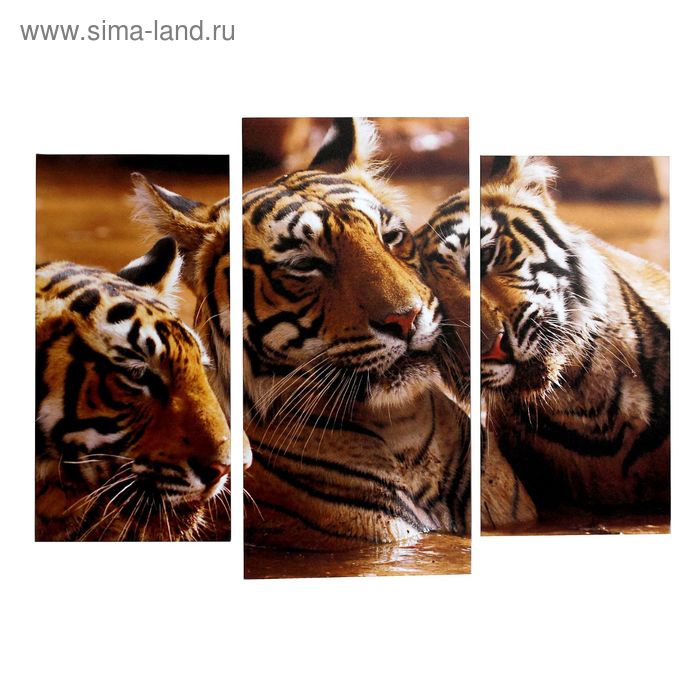 

Картина модульная на подрамнике Любовь 2шт-25х50, 1шт-30х60 ;60*80 см