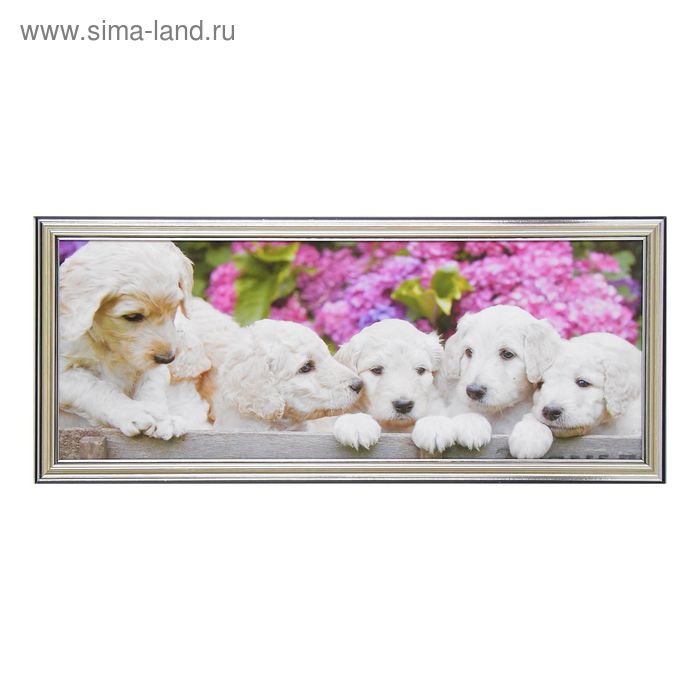 

Картина Щенята 23*53 см