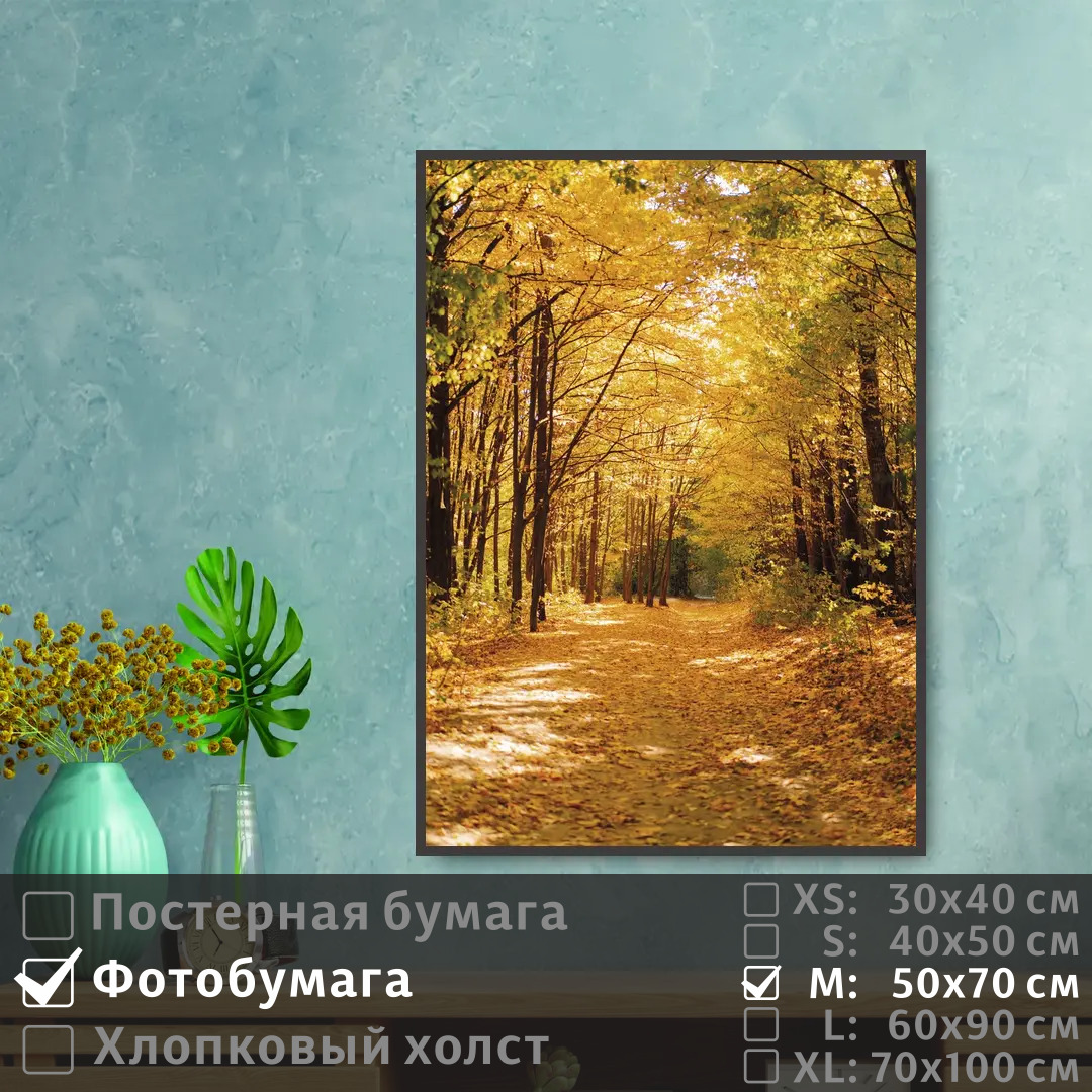 

Постер на фотобумаге ПолиЦентр Тропинка в осеннем лесу 50х70 см, ТропинкаВОсеннемЛесу