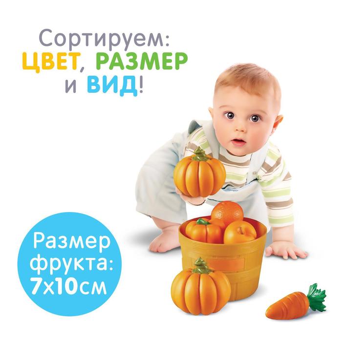 

Сортер IQ-ZABIAKA Разноцветный урожай, по методике Монтессори