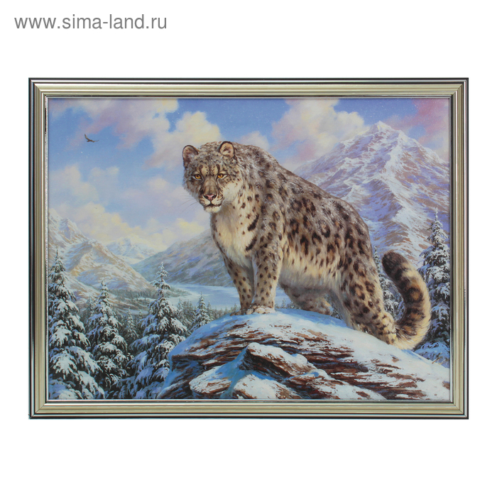

Картина Хищник в горах 33*43 см