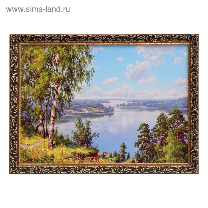 

Картина Природа 57х77 см