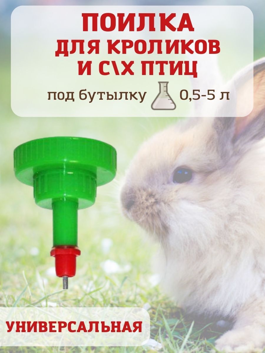 

Кормушка для птиц Мирагро пластик 5000 мл, Для человека и животных