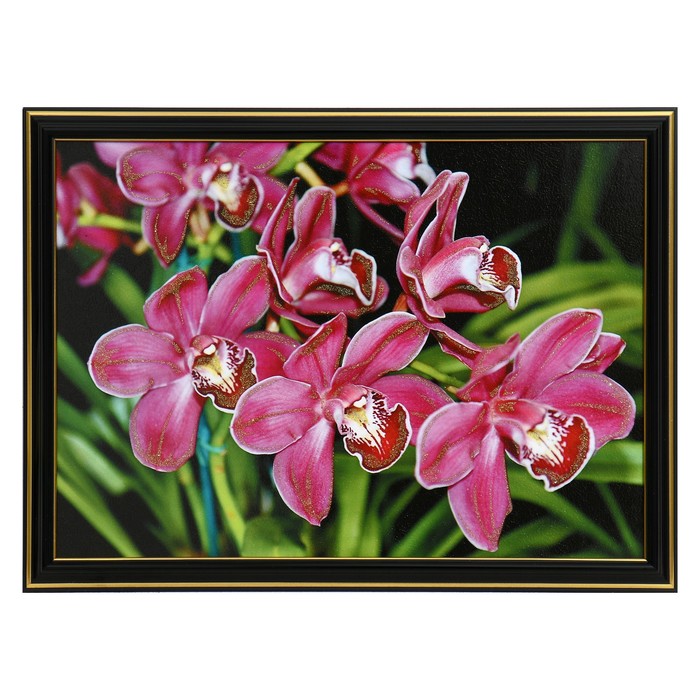 

Картина Орхидеи 25 х 35(28х38) см