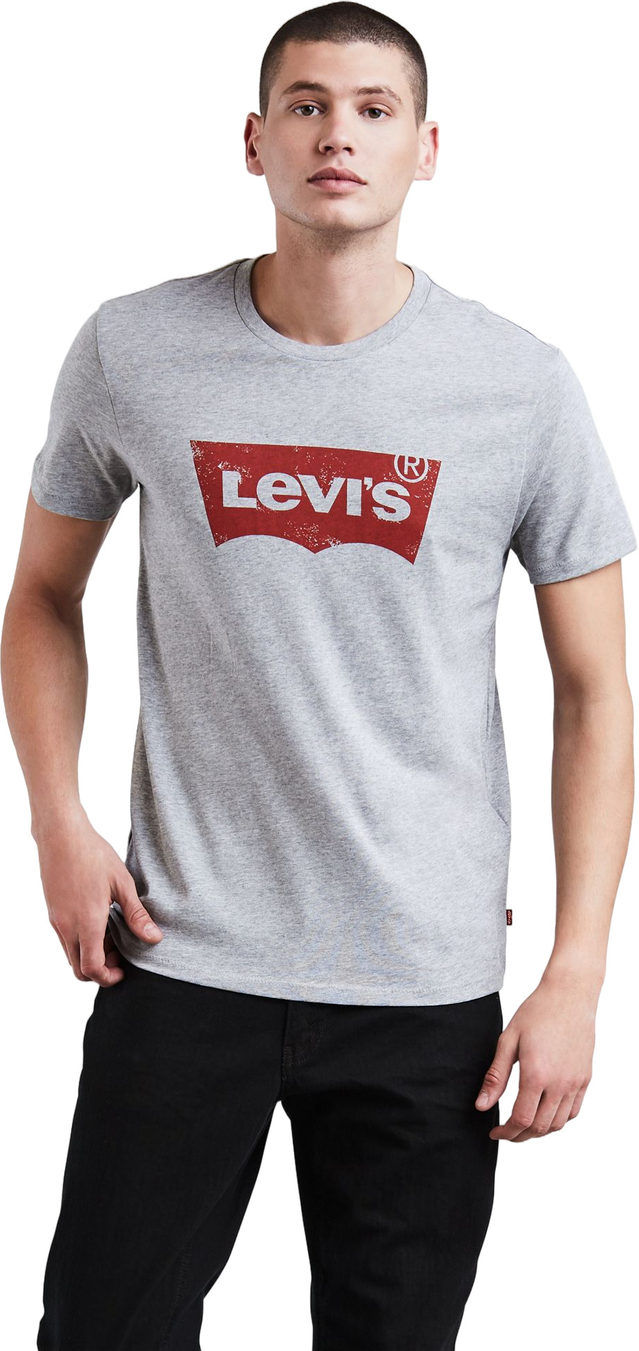 Футболка мужская Levi's 17783-0200 серая S Пакистан серый