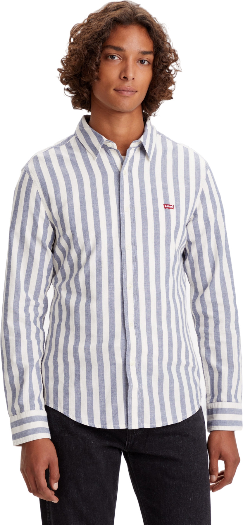 Рубашка мужская Levi's 86625-0021 синяя M