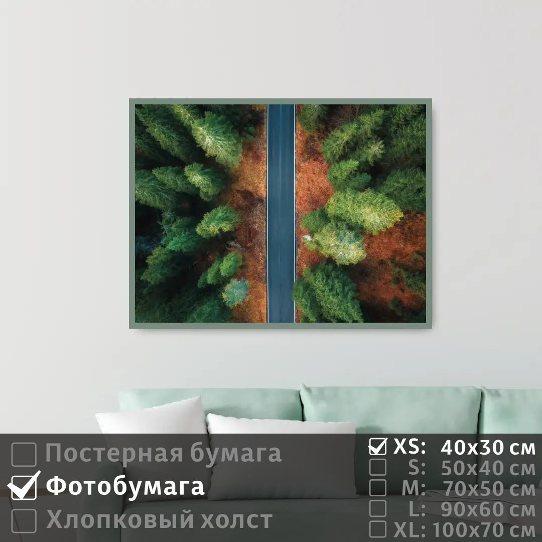 

Постер на фотобумаге ПолиЦентр Над шоссе через леса 40х30 см, НадШоссеЧерезЛеса