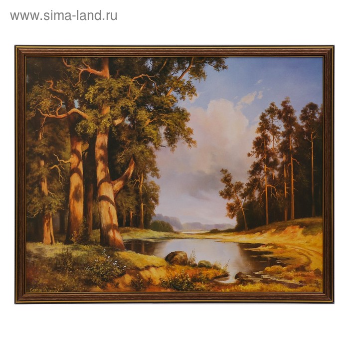 

Картина Лесные сосны 43х53 см