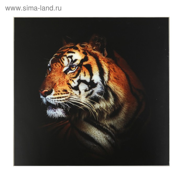 

Картина Красивейший тигр 50*50 см