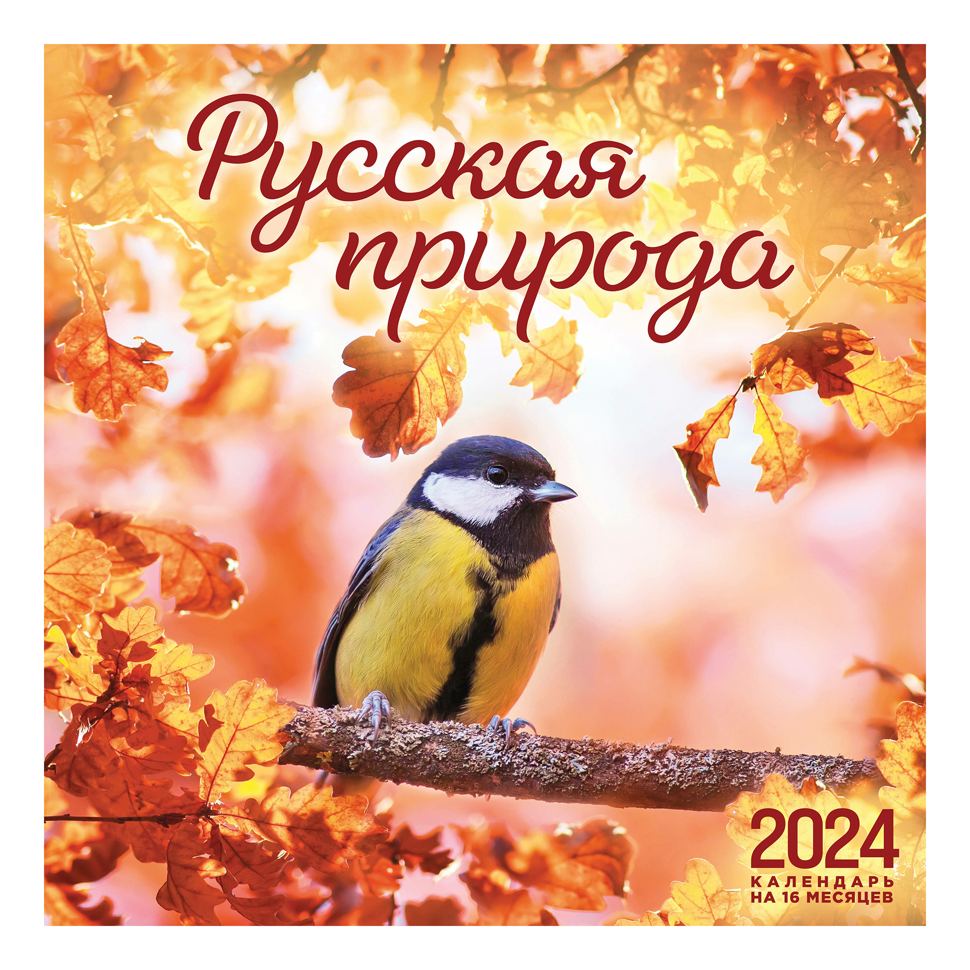

Календарь настенный Русская природа на 16 месяцев на 2024 год 300 х 300 мм
