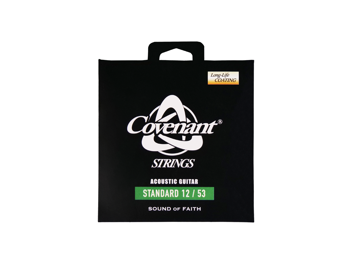 

Струны для акустической гитары Covenant AGS-1253