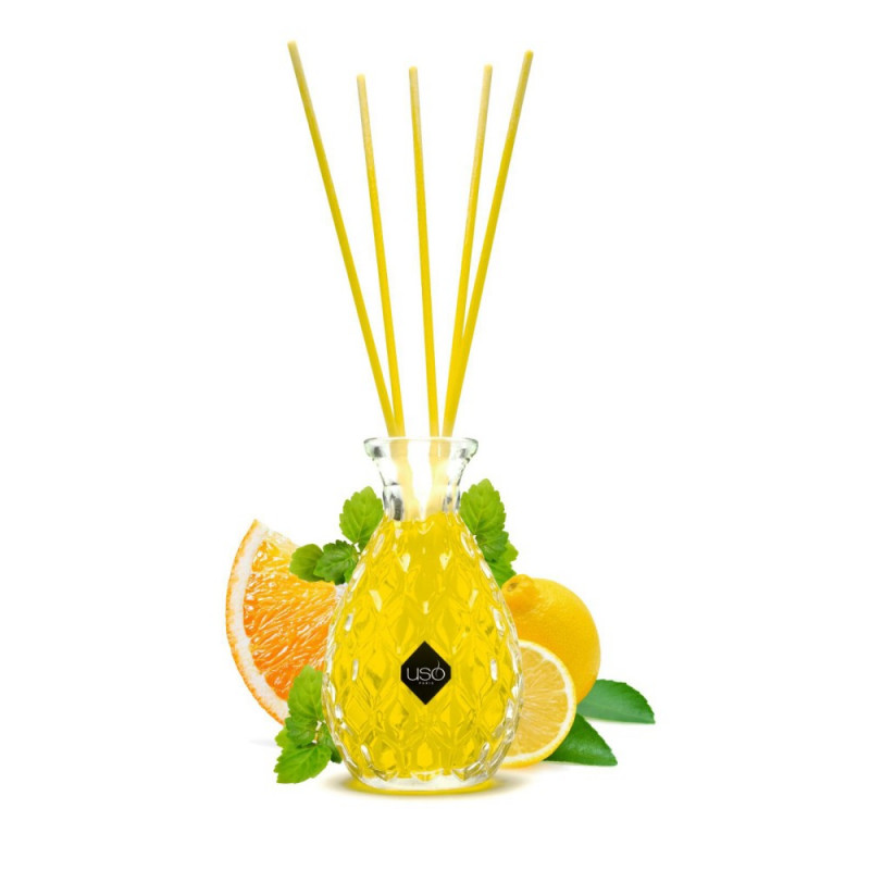 

Диффузор для дома с палочками USO creation KRYSTAL PATHCHOULI CITRUS 110 мл, CITRUS