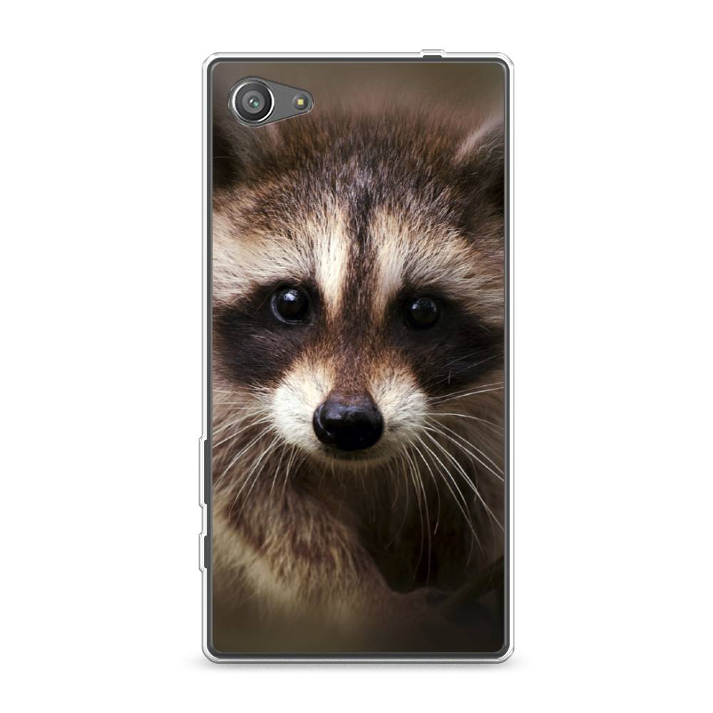 

Чехол Awog на Sony Xperia Z5 compact "Енот", Разноцветный, 52250-1