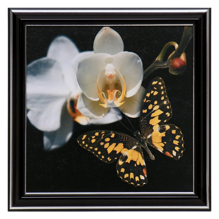 

Картина Белый цветок 18х18(21,5х21,5) см