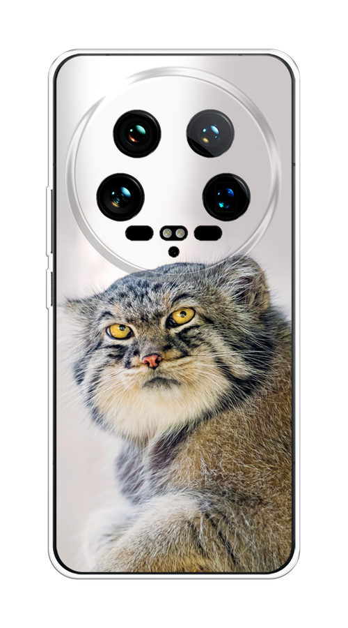 

Чехол на Xiaomi 14 Ultra "Кот манул 1", Серый;белый;желтый, 321850-1