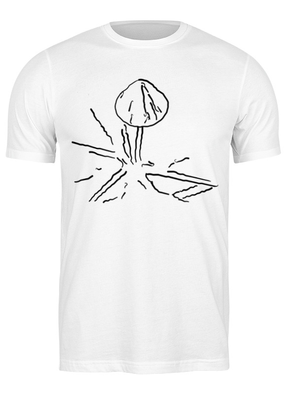 

Футболка мужская Printio Mushrooms 2979078 черная 2XL, Черный, Mushrooms 2979078