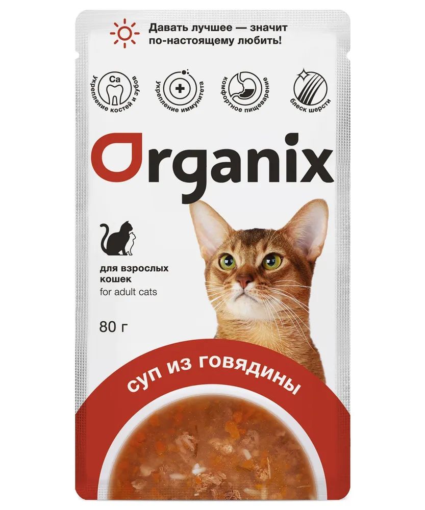 Влажный корм для кошек Organix Суп с говядиной, овощами и рисом, 80 г